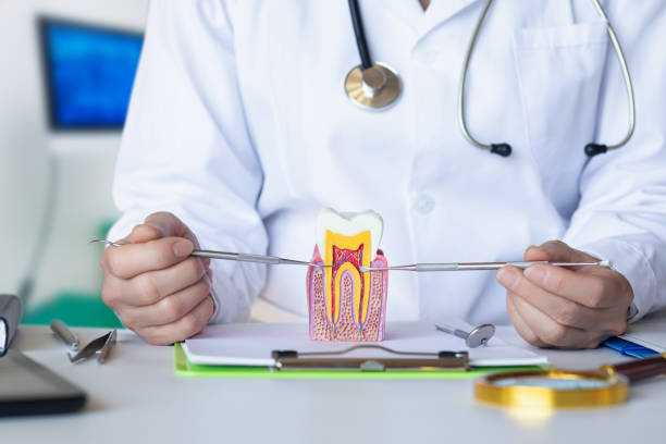 Best Pediatric Emergency Dentist in Rowlett, TX
